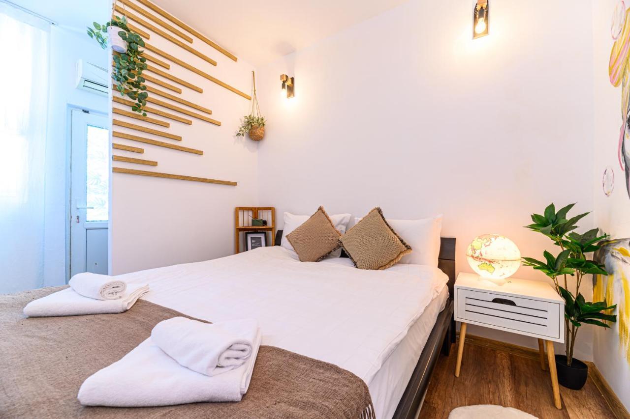 Backpacker'S Room 브라쇼브 외부 사진