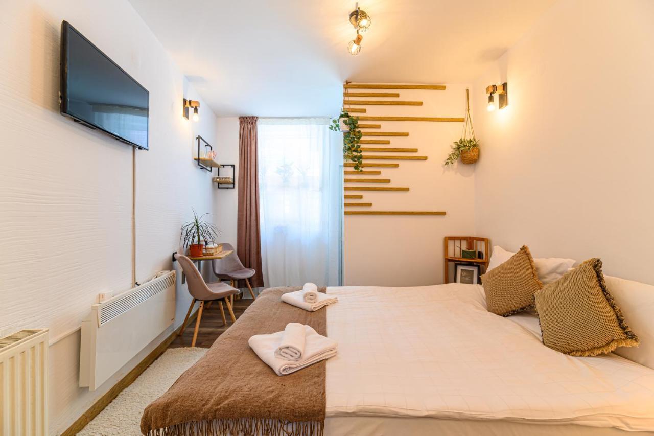 Backpacker'S Room 브라쇼브 외부 사진