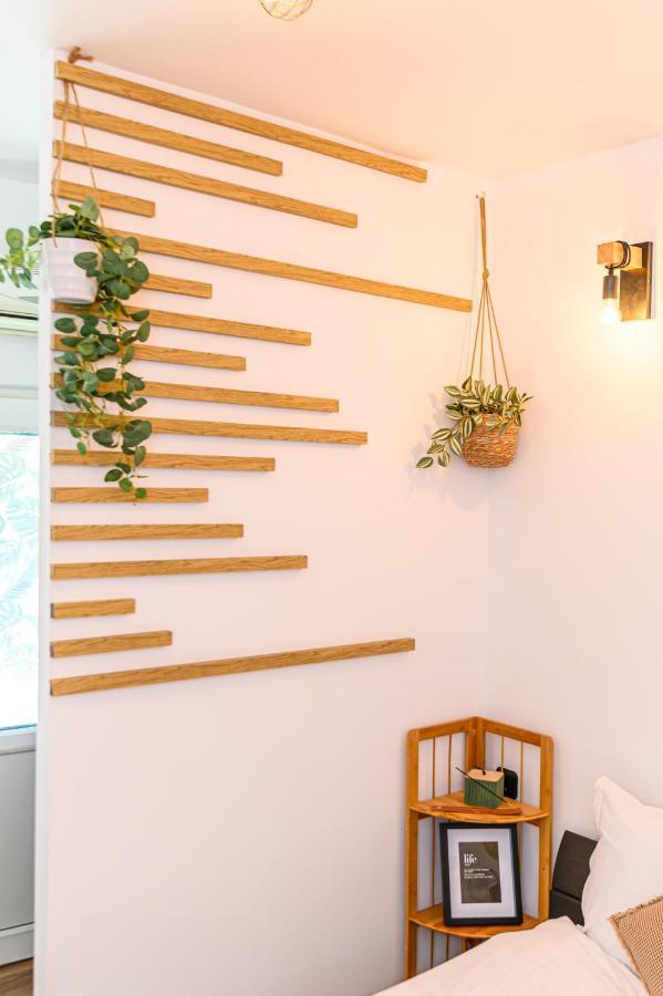 Backpacker'S Room 브라쇼브 외부 사진
