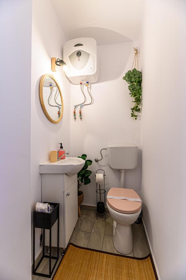 Backpacker'S Room 브라쇼브 외부 사진