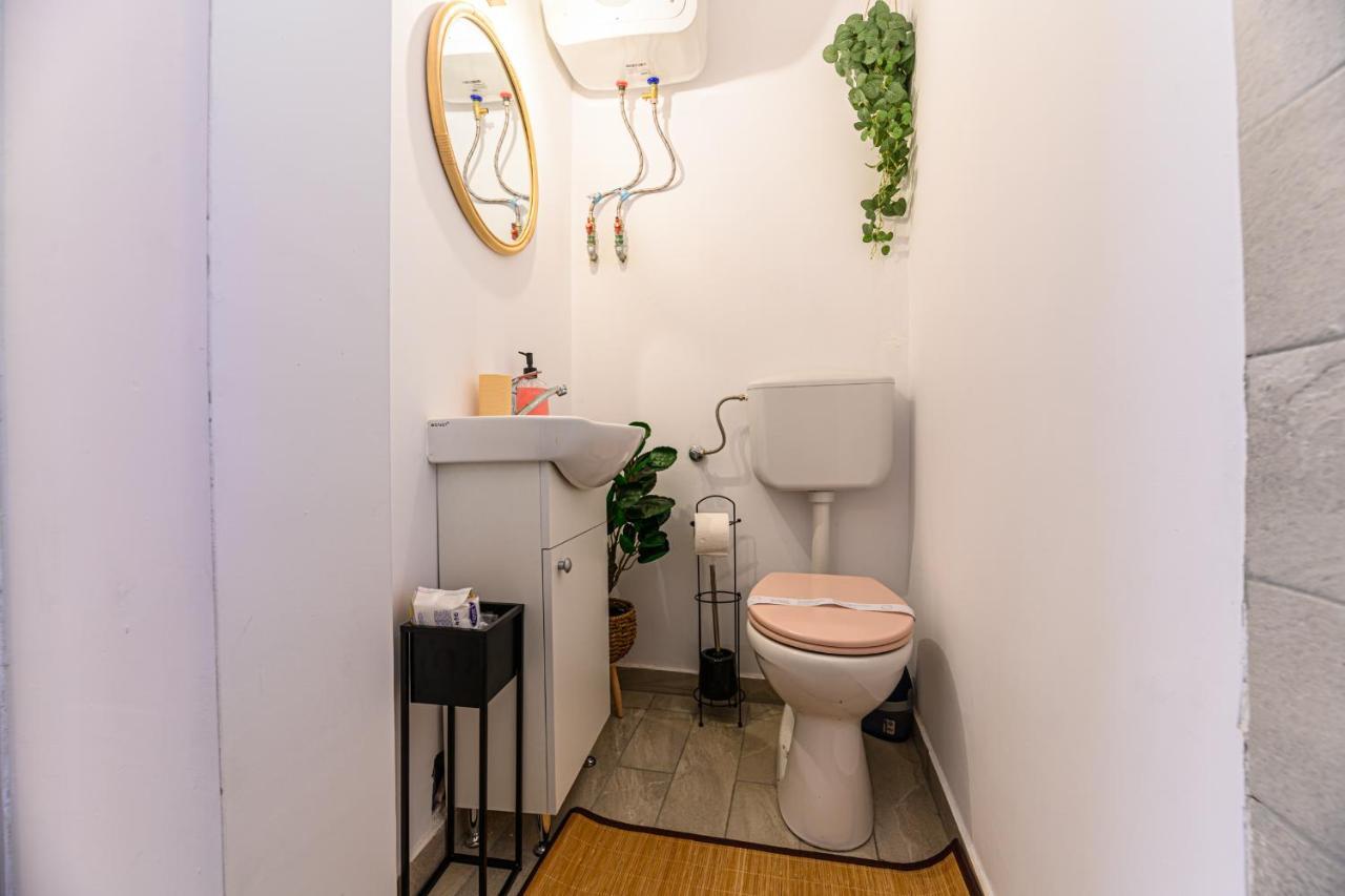 Backpacker'S Room 브라쇼브 외부 사진